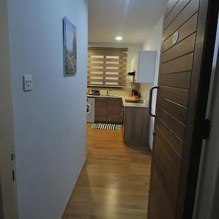 Ithaki Phinikoudes No. 201 Apartment Larnaca