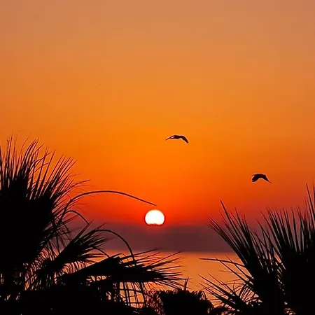 Ithaki Phinikoudes No. 201 アパート *