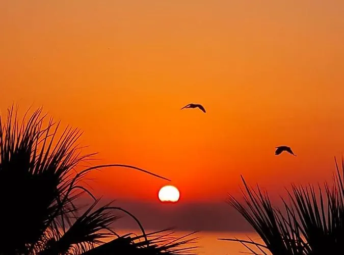 Ithaki Phinikoudes No. 201 Апартаменти *