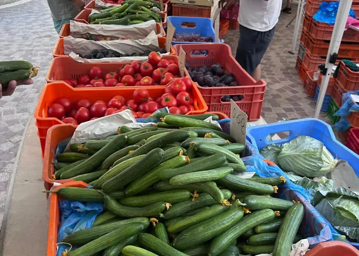 Ithaki Phinikoudes No. 201 *