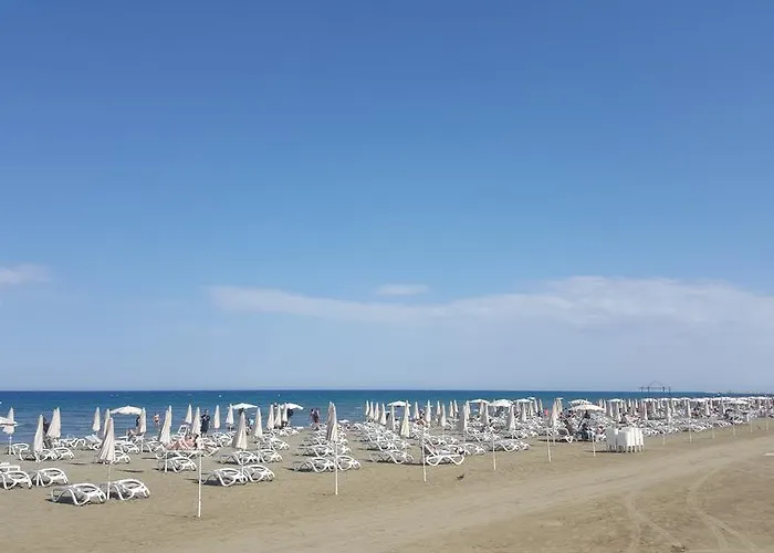 Ithaki Phinikoudes No. 201