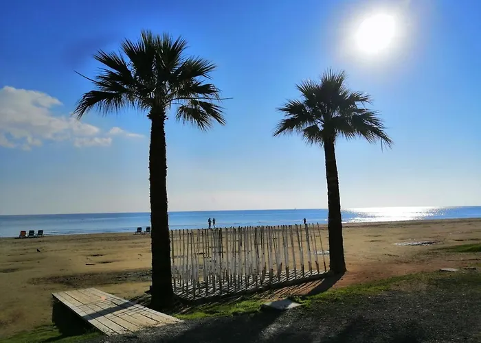 Ithaki Phinikoudes No. 201 דירה